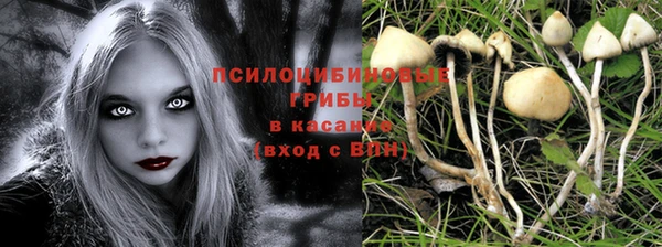 эйфоретик Заволжье