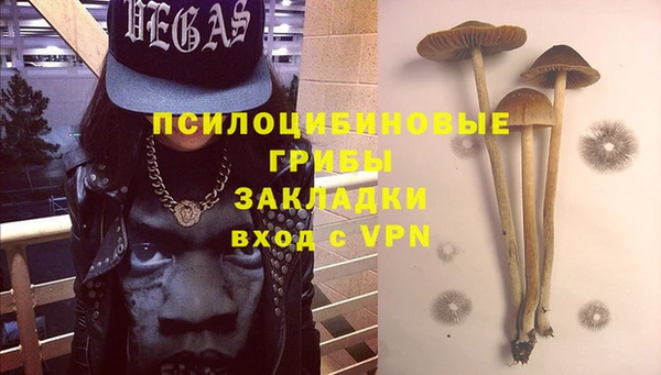 кокаин Заводоуковск