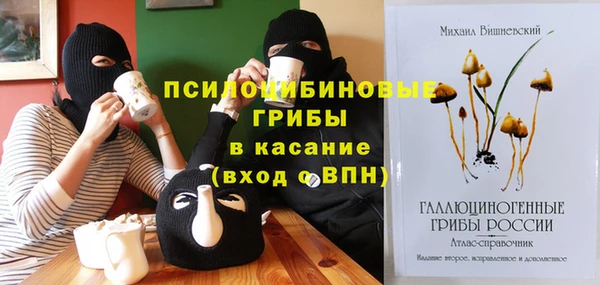 эйфоретик Заволжье