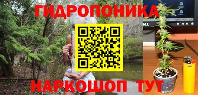 Альфа ПВП Кунгур