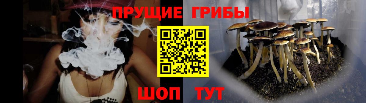 Галлюциногенные грибы мухоморы Спасск-Дальний